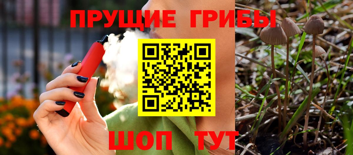 Галлюциногенные грибы MAGIC MUSHROOMS Губкин
