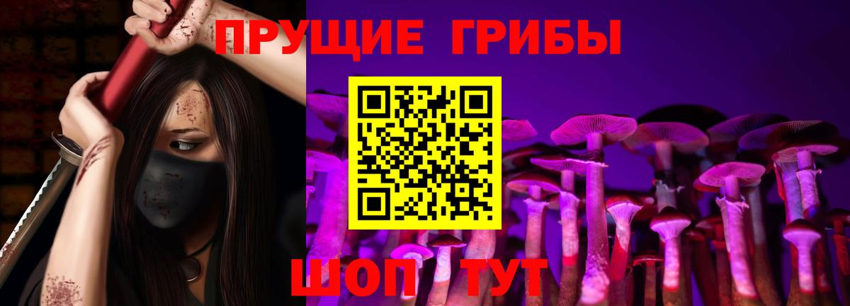 Псилоцибиновые грибы Psilocybine cubensis  Вход с VPN  Галлюциногенные грибы GOLDEN TEACHER  Губкин 